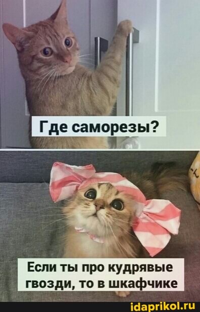 Если ты про кудрявые гвозди, то в шкафчике