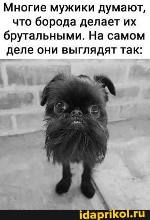 Многие мужики думают, что борода делает их брутальными. На самом деле они выглядят так: