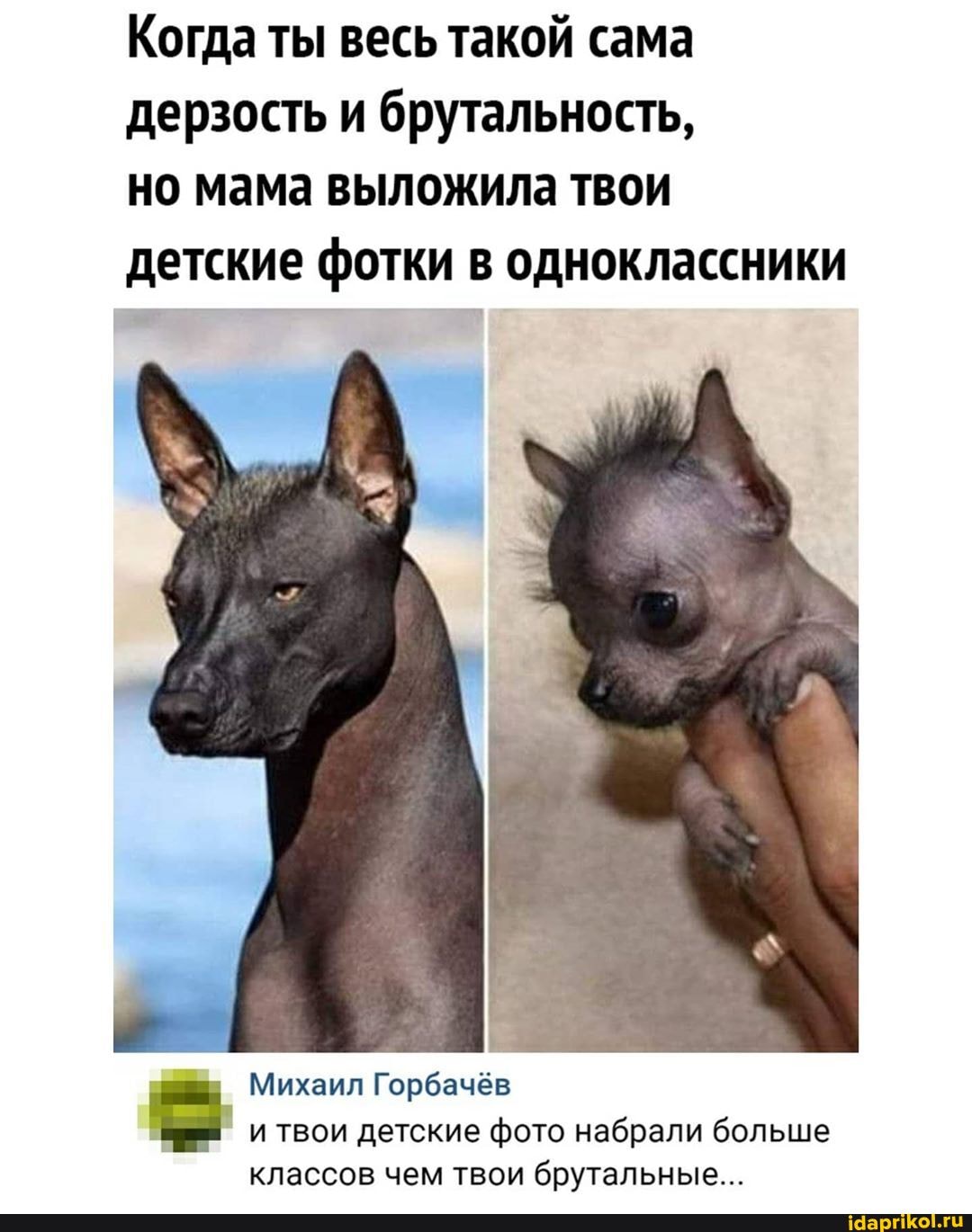 Когда ты весь такой сама
дерзость и брутальность,
но мама выложила твои
детские фотки в одноклассники
Михаил Горбачёв Pe
и твои детские фото набрали больше
классов чем твои брутальные...