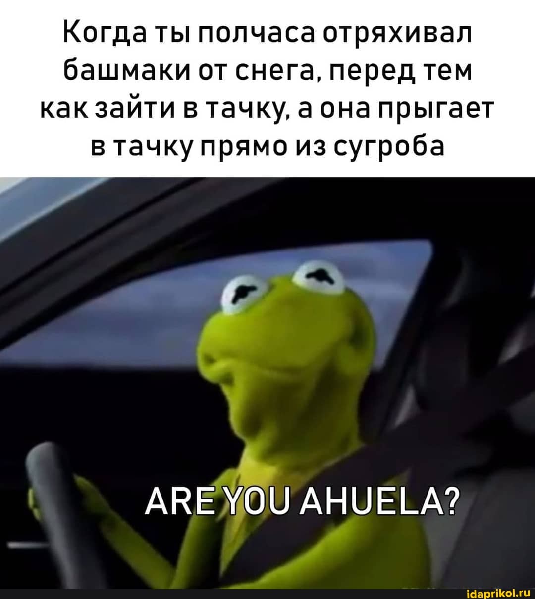 Когда ты полчаса отряхивал башмаки от снега, перед тем как зайти в тачку, а она прыгает в тачку прямо из сугроба
АНУЕЕ А?