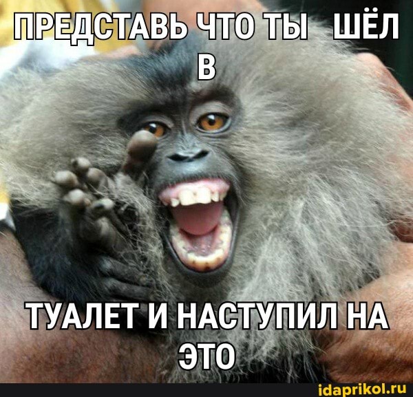 ПРЕДСТАВЬ ЧТО ТЫ ШЁЛ
ТУАЛЕТ И НАСТУПИЛ НА это