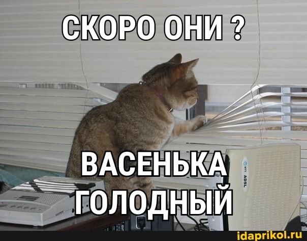 СКОРО ОНИ ?
ВАСЕНЬКА Голодный