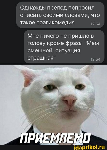 Однажды препод попросил описать своими словами, что такое трагикомедия
Мне ничего не пришло в голову кроме фразы "Мем смешной, ситуация страшная"