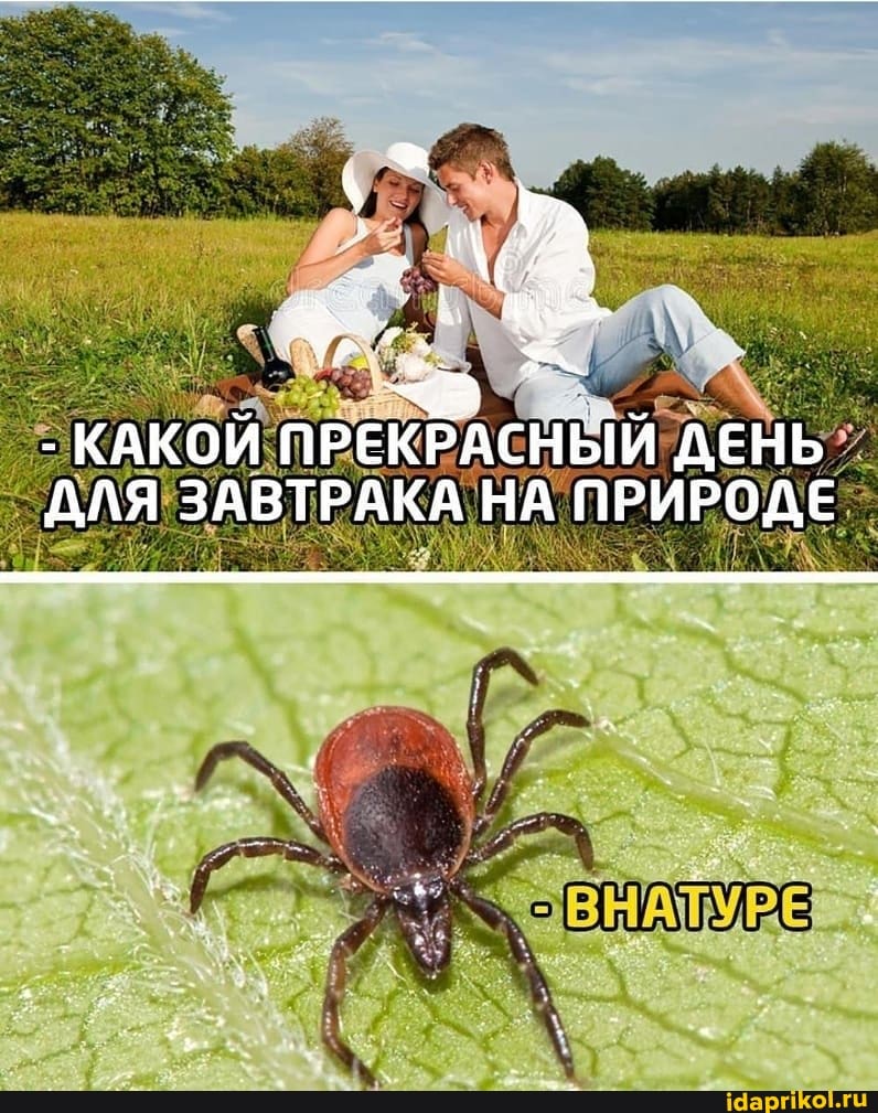 - КАКОЙ ПРЕКРАСНЫЙ ДЕНЬ ДАЛЯ ЗАВТРАКА НА ПРИРОДЕ