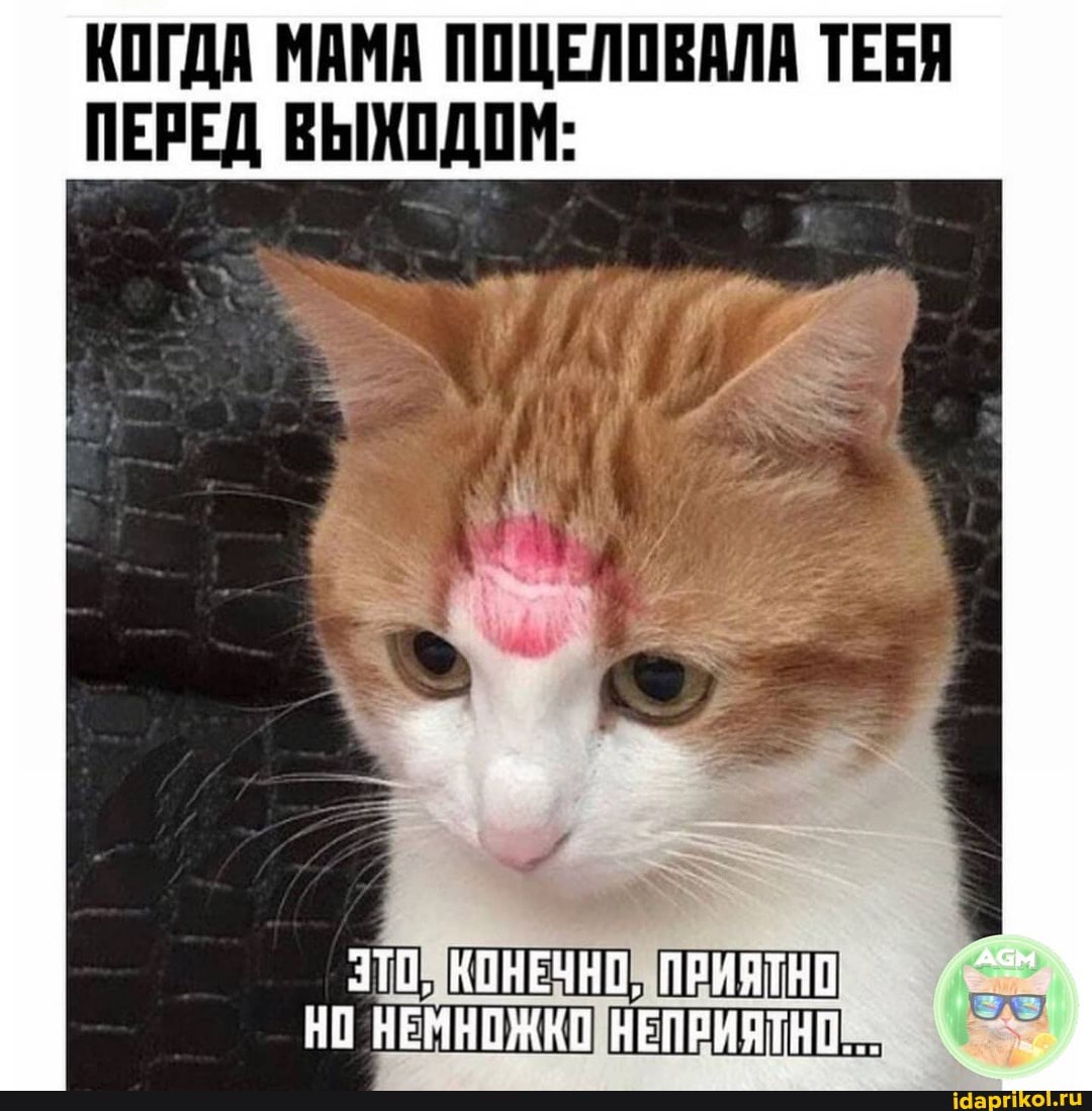 КОГДА МАМА ПОЦЕЛОВАЛА ТЕБЯ ПЕРЕД ВЫХОДОМ:
310, КОНЕЧНО, ПРИЯТНО,
НО НЕМНОЖКО НЕПРИЯТНО
