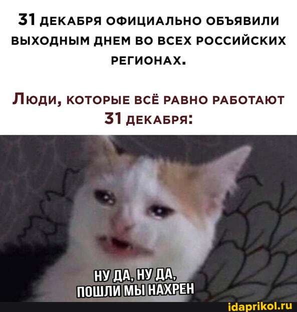 31 ДЕКАБРЯ ОФИЦИАЛЬНО ОБЪЯВИЛИ ВЫХОДНЫМ ДНЕМ ВО ВСЕХ РОССИЙСКИХ РЕГИОНАХ.
Люди, КОТОРЫЕ ВСЁ РАВНО РАБОТАЮТ
31 ДЕКАБРЯ:
НУ ДА, НУ ДА.
НАУРЕН