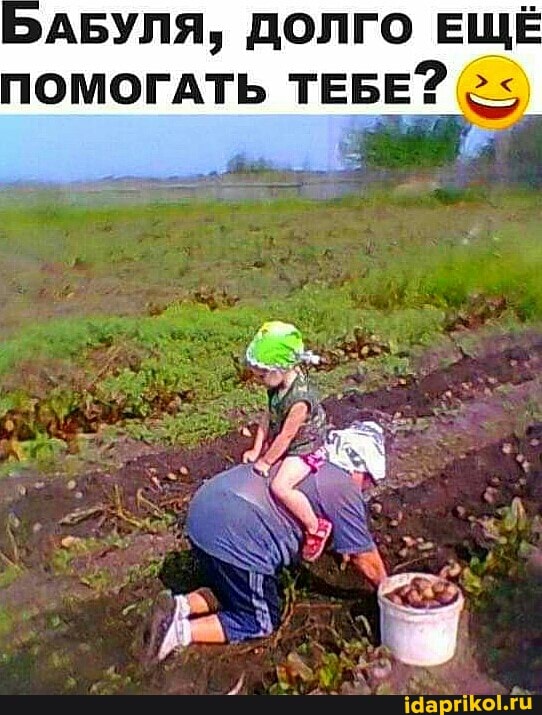 БАБУЛЯ, ДОЛГО ЕЩЁ ПОМОГАТЬ ТЕБЕ?