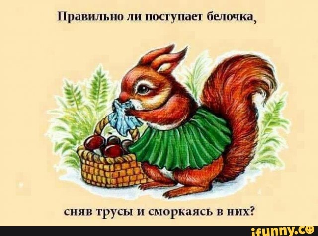 Правильно ли поступает белочка,
сняв трусы и сморкаясь в них?