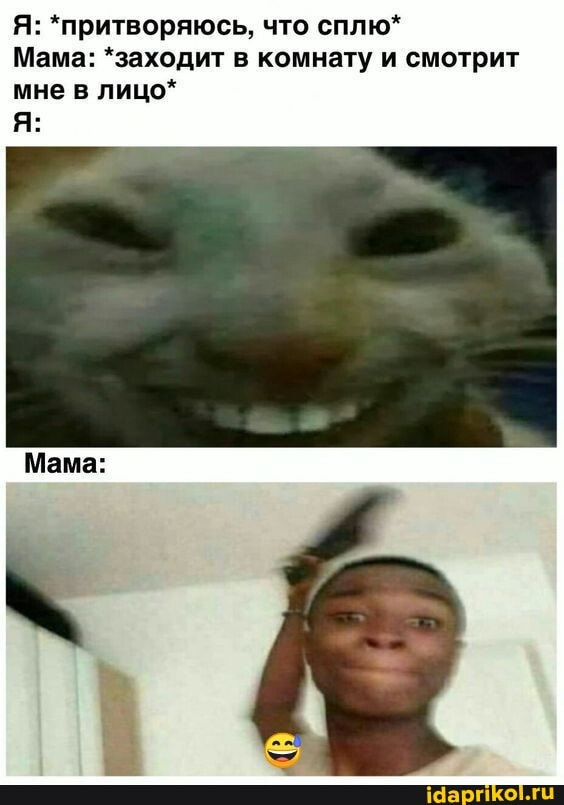 Я: *притворяюсь, что сплю*
Мама: *заходит в комнату и смотрит мне в лицо*