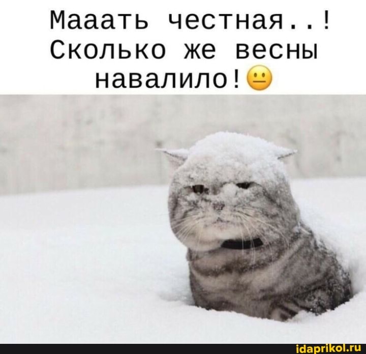 Мааать честная.
Сколько же весны навалило!