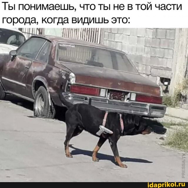 Ты понимаешь, что ты не в той части города, когда видишь это: