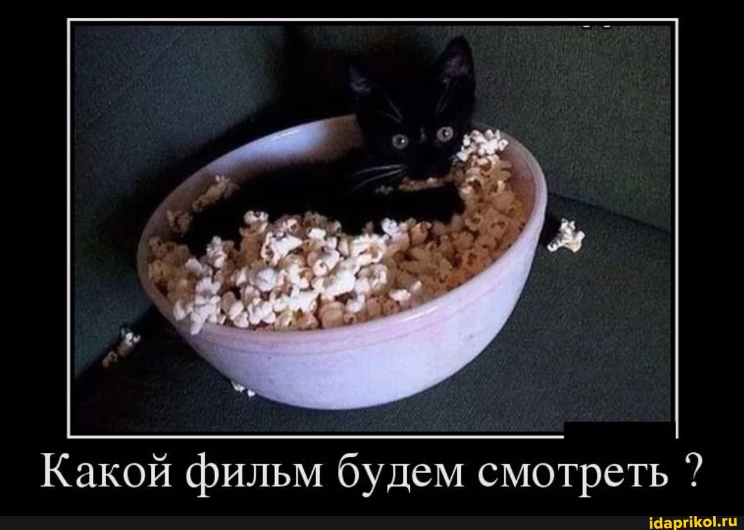 Какой фильм будем смотреть