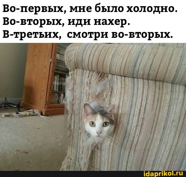 Во-первых, мне было холодно.
Во-вторых, иди нахер.
В-третьих, смотри во-вторых.