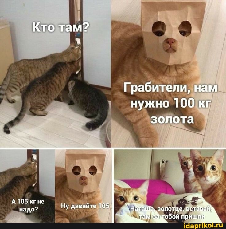 Кто там?
Грабители, нам нужно 100 кг золота
надо? I у паваите 165 "эолоте, вставой,
тобой пришли
