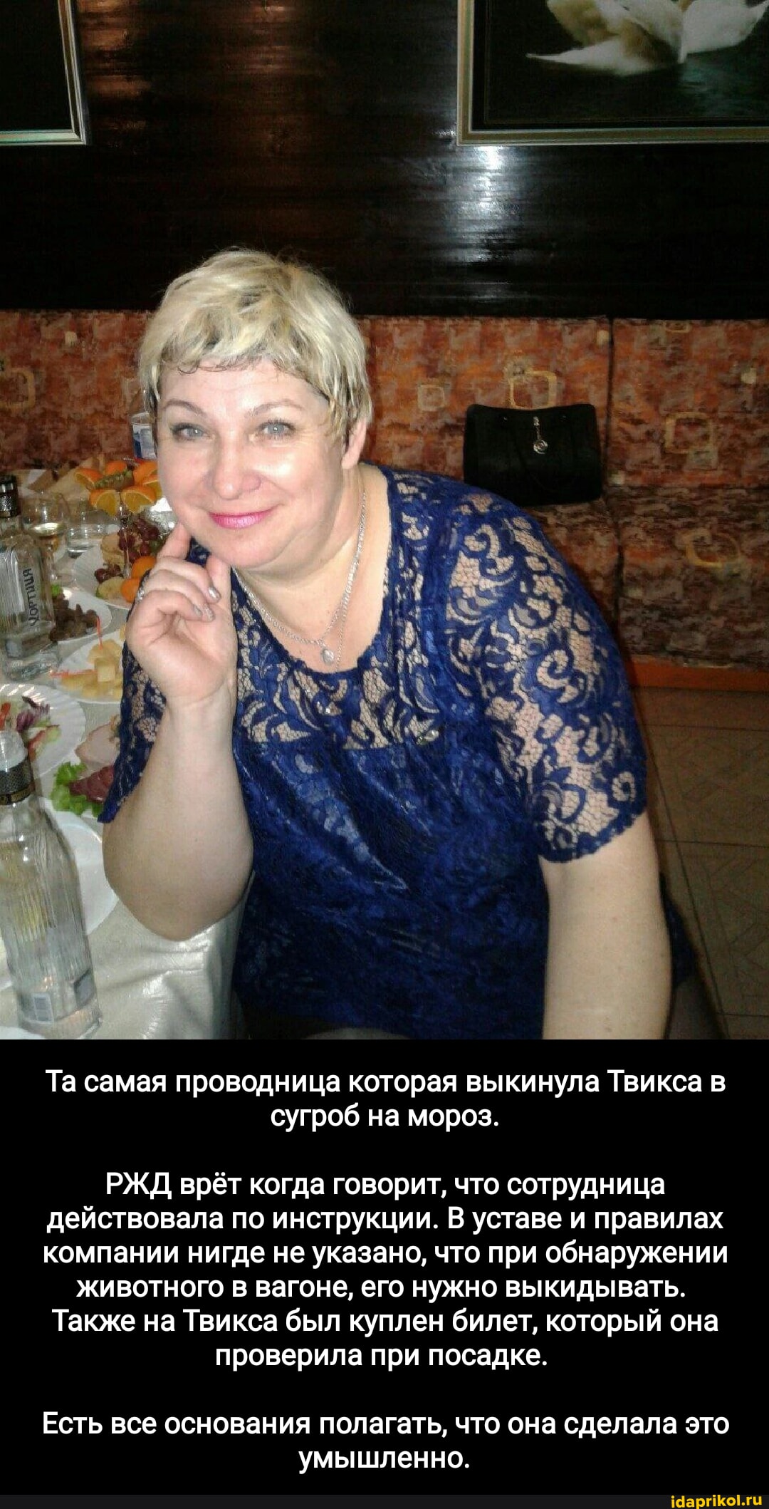 проводница 