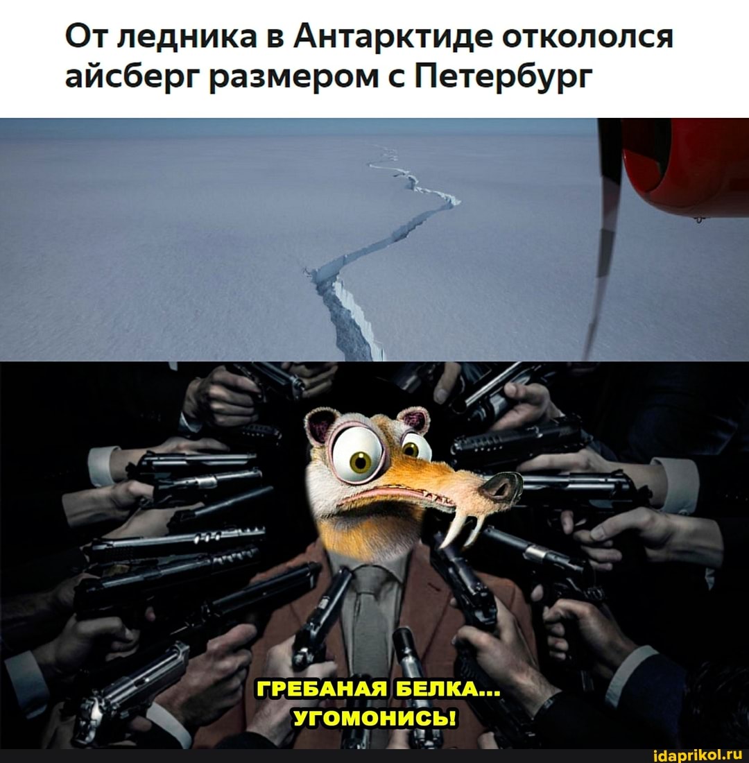 От ледника в Антарктиде откололся айсберг размером с Петербург
угомонибы