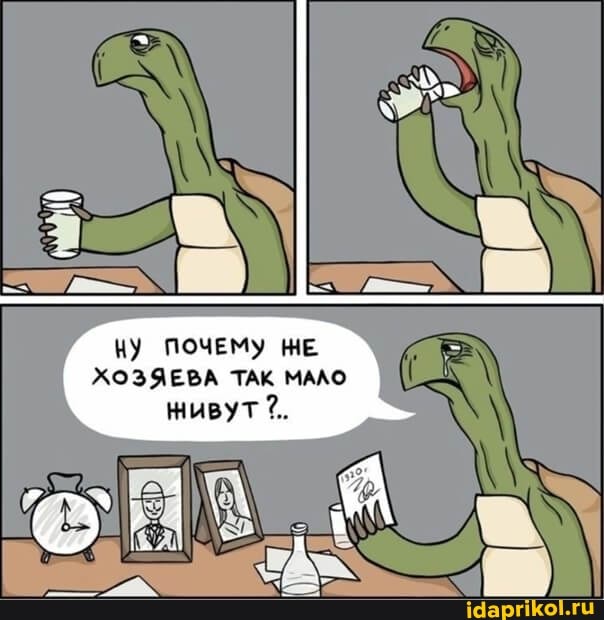КУ ПОЧЕМУ НЕ ХОЗЯЕВА ТАК МАЛО