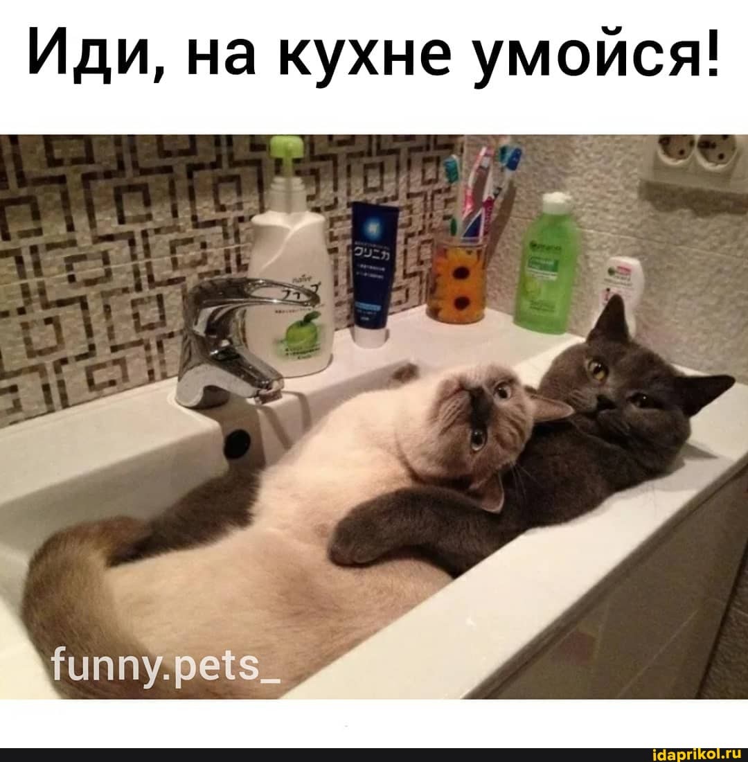 Иди, на кухне умойся!