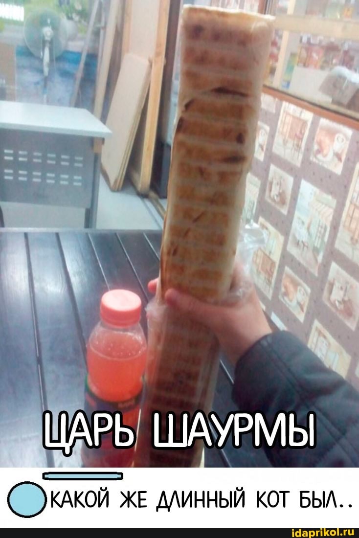 ЦАРЬ ШАУРМЫ
(КАКОЙ ЖЕ ДЛИННЫЙ КОТ БЫМ..