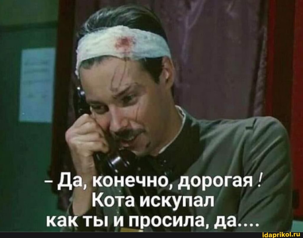 Да, конечно, дорогая!
Кота искупал
как ты и просила, да....