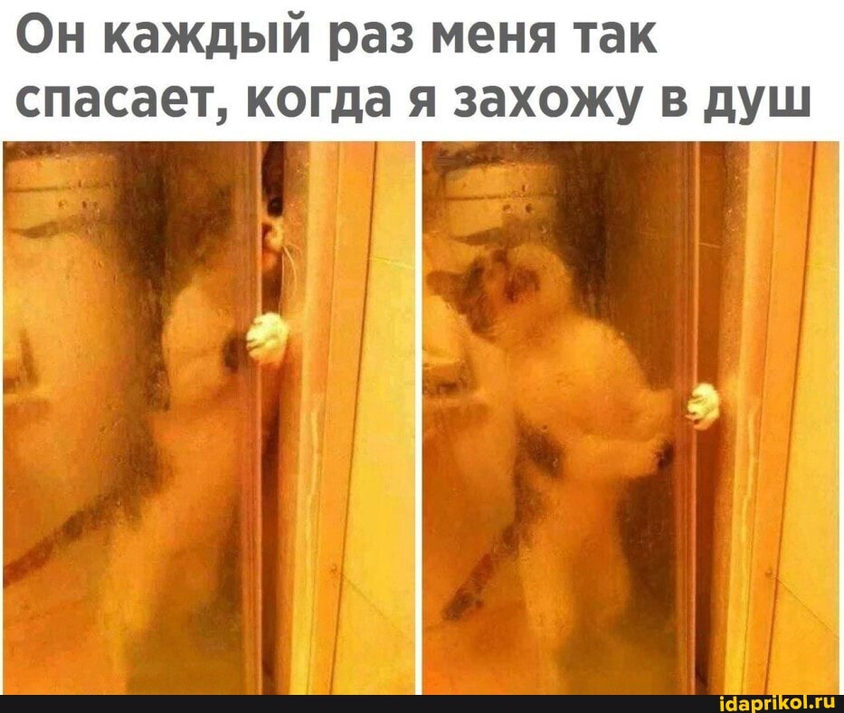 Он каждый раз меня так спасает, когда я захожу в душ