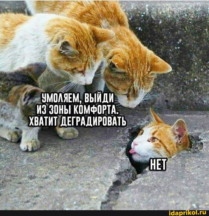 УМОЛЯЕМ, ВЫЙДИ ИЗ ЗОНЫ КОМФОРТА.
ХВАТИТ ДЕГРАДИРОВАТЬ
НЕТ