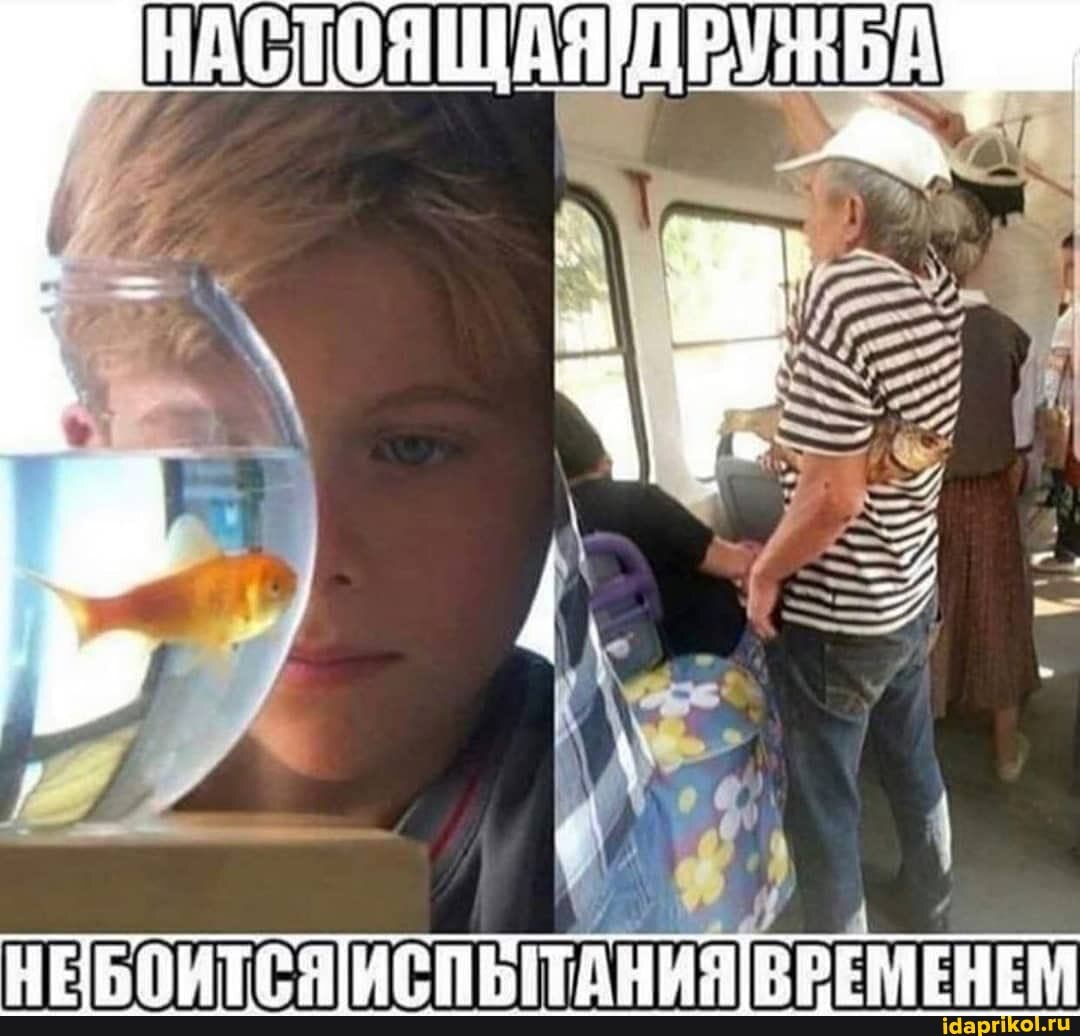 НАСТОЯЩАЯ: