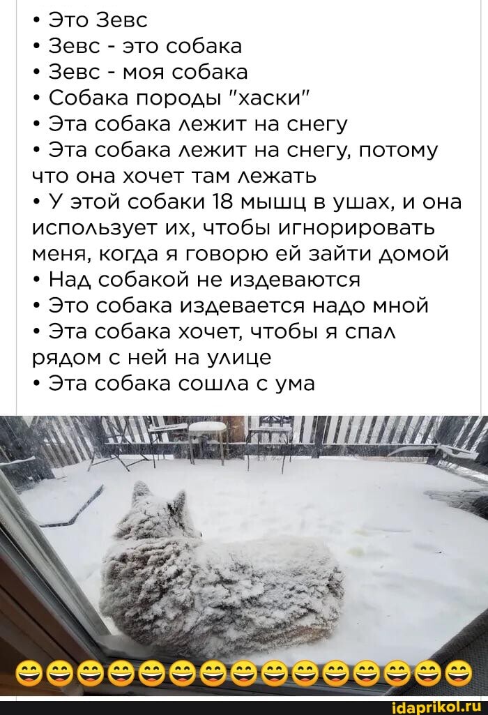 Это Зевс
Зевс - это собака
Зевс - моя собака
Собака породы "хаски"
Эта собака лежит на снегу
Эта собака лежит на снегу, потому что она хочет там лежать
У этой собаки 18 мышц в ушах, и она использует их, чтобы игнорировать меня, когда я говорю ей зайти домой
Над собакой не издеваются
Это собака издевается надо мной
Эта собака хочет, чтобы я спал рядом с ней на улице
Эта собака сошла с ума