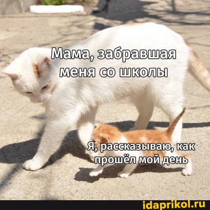 забравшая
Мама
меня'со школ