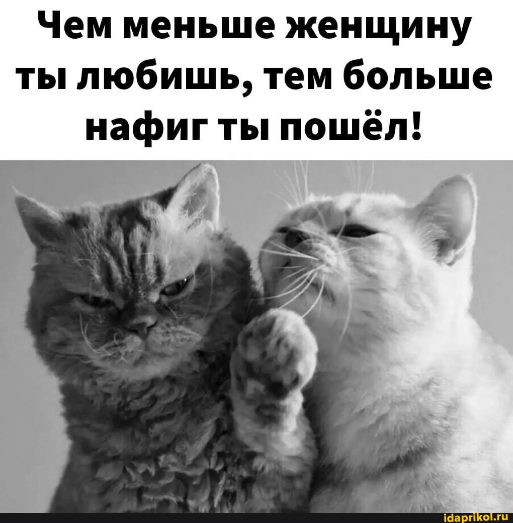 Чем меньше женщину ты любишь, тем больше нафиг ты пошёл!