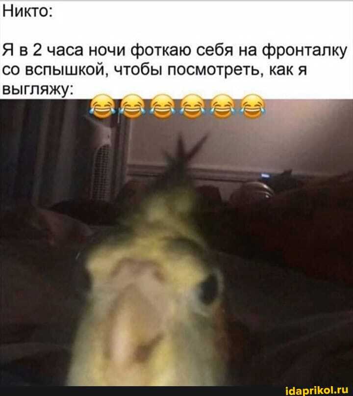 Я в 2 часа ночи фоткаю себя на фронталку
со вспышкой, чтобы посмотреть, как я
выгляжу: