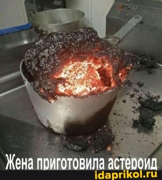 Жена приготовила астеобид