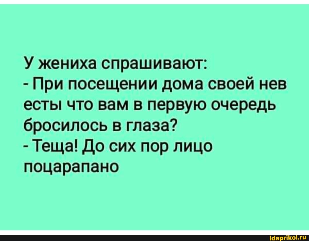 У жениха спрашивают:
- При посещении дома своей нев есты что вам в первую очередь бросилось в глаза?
- Теща! До сих пор лицо поцарапано