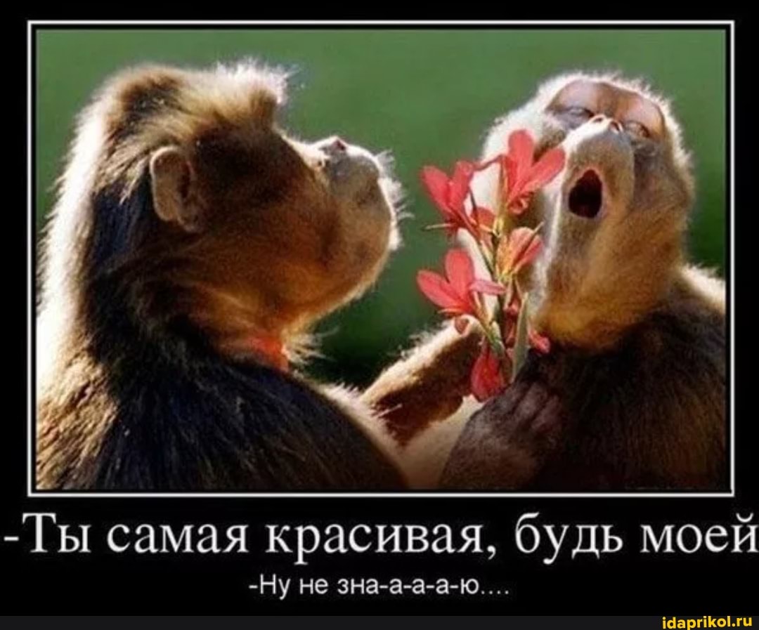 -Ты самая красивая, будь моей
-Ну не зна-а-а-а-ю....