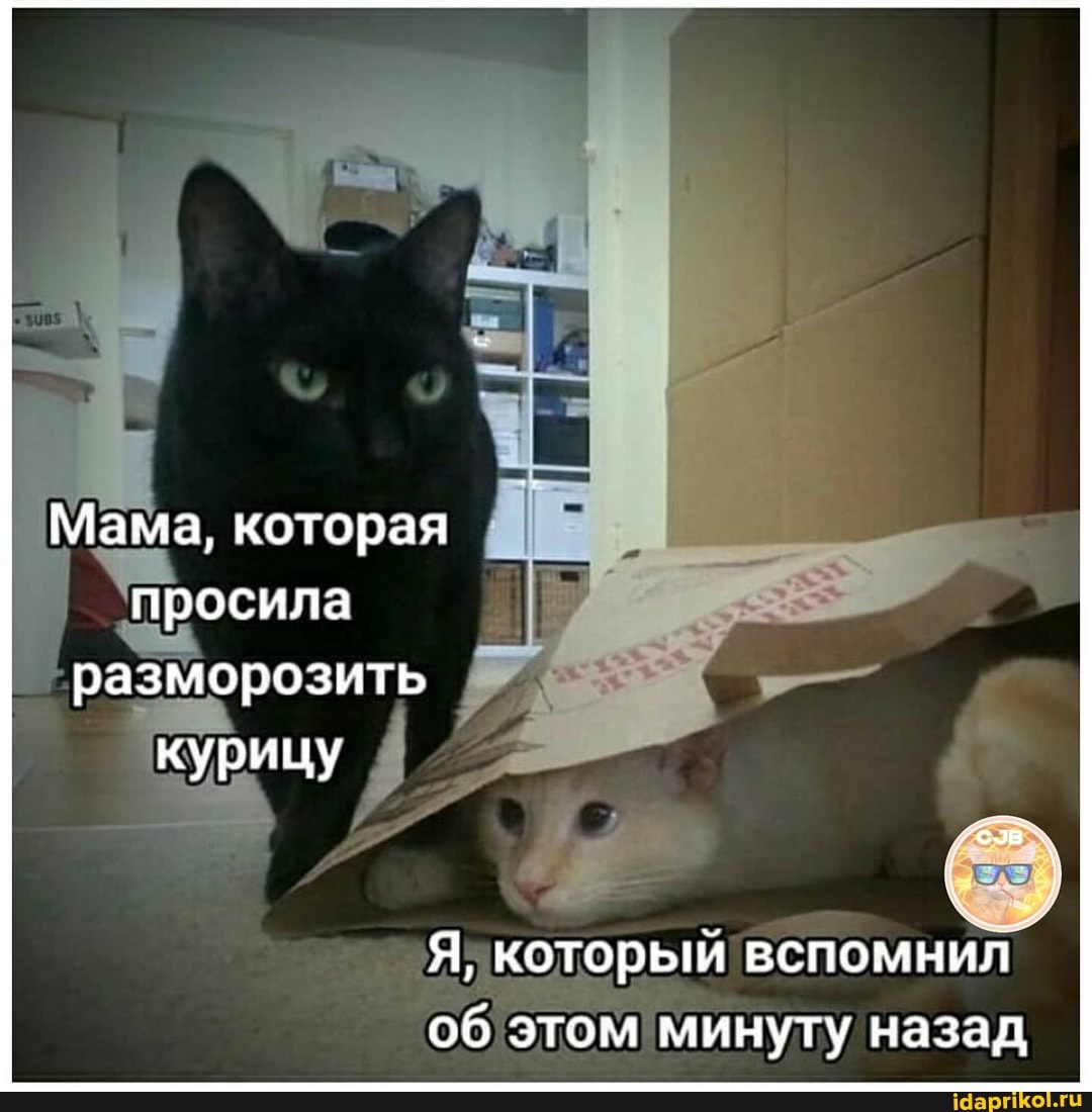 Мама, которая просила разморозить
курицу
Я, который вспомнил_ об этом минуту назад