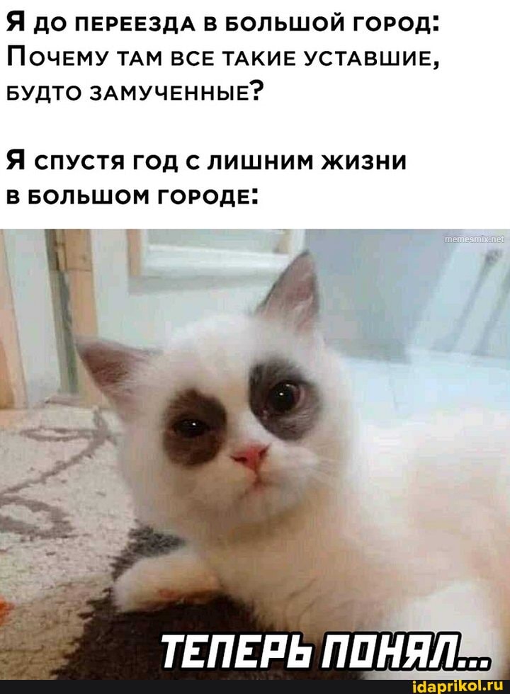 Я до ПЕРЕЕЗДА В БОЛЬШОЙ ГОРОД:
Почему ТАМ ВСЕ ТАКИЕ УСТАВШИЕ,
БУДТО ЗАМУЧЕННЫЕ?
Я спустя год с лишним жизни
В БОЛЬШОМ ГОРОДЕ:
ППНЯЛ