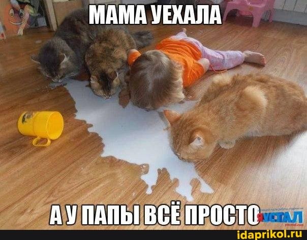 МАМА УЕХАЛА
АУ ПАПЫ ВСЁ ПРОСТЕ