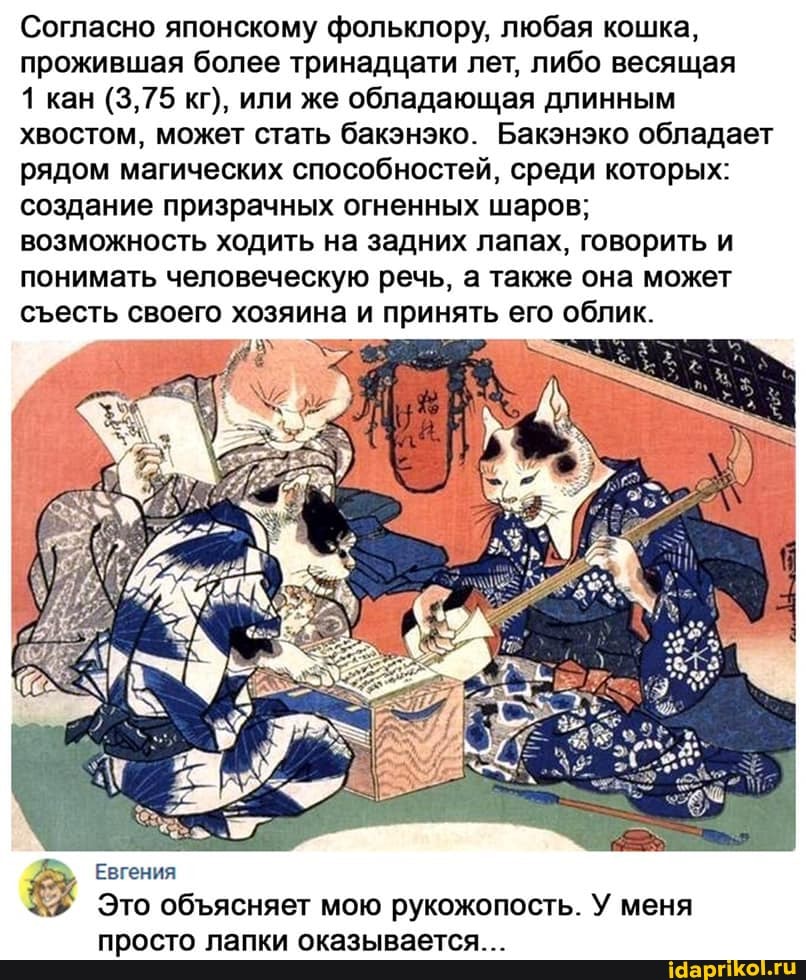 Согласно японскому фольклору, любая кошка, прожившая более тринадцати лет, либо весящая
1 кан (3,75 кг), или же обладающая длинным хвостом, может стать бакэнэко. Бакэнэко обладает рядом магических способностей, среди которых: создание призрачных огненных шаров; возможность ходить на задних лапах, говорить и понимать человеческую речь, а также она может сесть своего хозяина и принять его облик.
Евгения
Это обясняет мою рукожопость. У меня