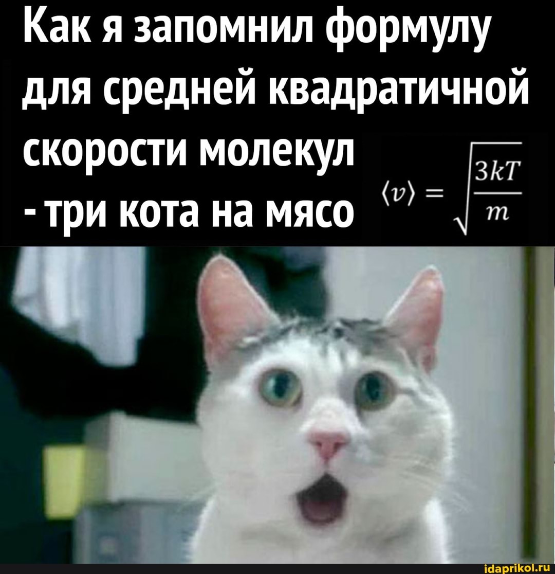 Как я запомнил формулу для средней квадратичной
скорости молекул
- три кота на мясо