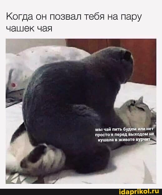 Когда он позвал тебя на пару чашек чая
мы чай пить будем нет
простоя перед выходом ма
`кушала в животе вурчих