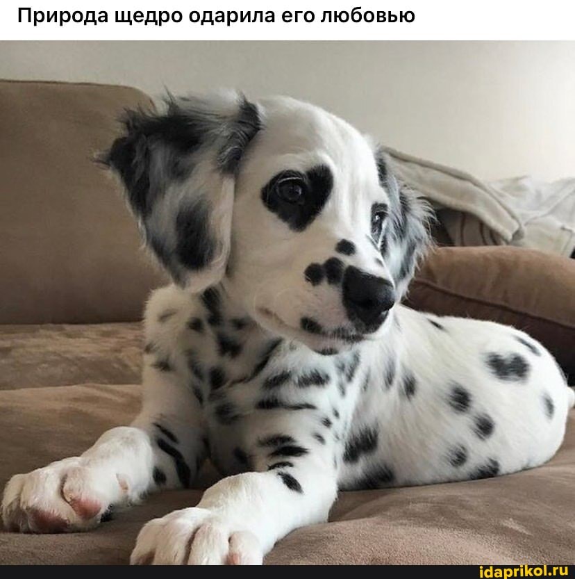 Природа щедро одарила его любовью