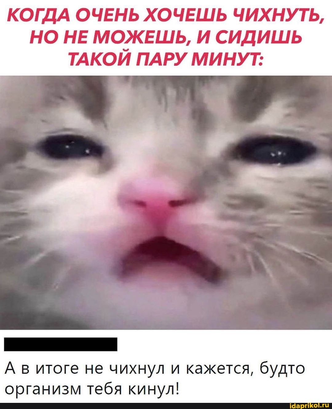 КОГДА ОЧЕНЬ ХОЧЕШЬ ЧИХНУТЬ,
НО НЕ МОЖЕШЬ, И СИДИШЬ ТАКОЙ ПАРУ МИНУТ:
А в итоге не чихнул и кажется, будто организм тебя кинул!