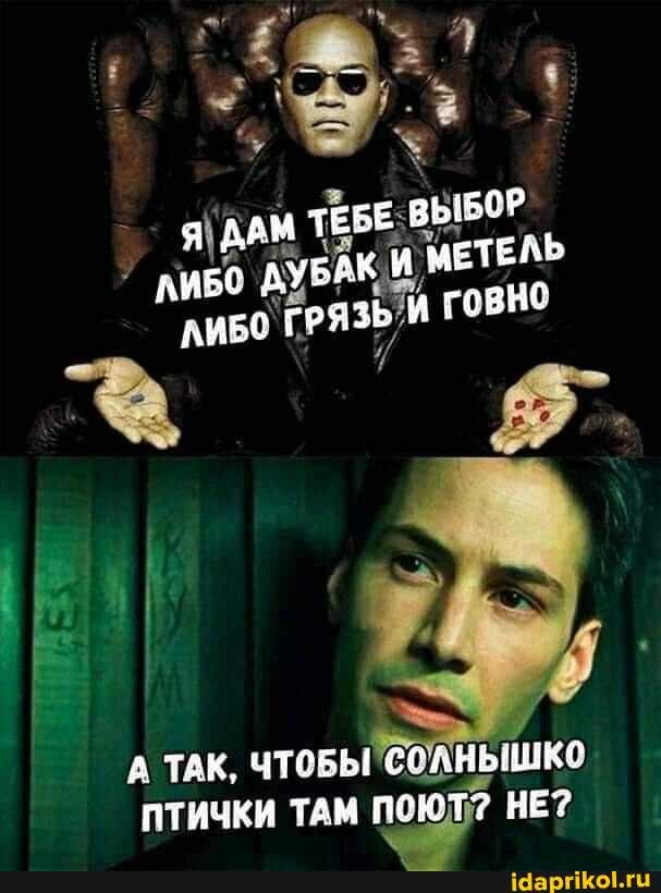 А ТАК, ЧТОБЫ" ССОЛ ПТИЧКИ ТАМ поют? НЕ?