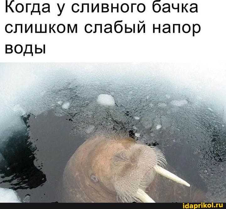 Когда у сливного бачка слишком слабый напор
ВОДЫ