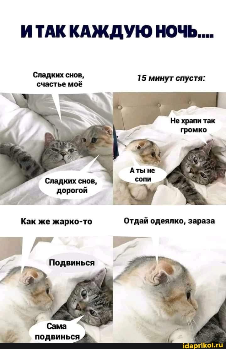 ИТАК КАЖДУЮ НО...
Сладких снов,
15 минут спустя:
сопи
Как же жарко-то Отдай одеялко, зараза
Подвинься
подвинься
