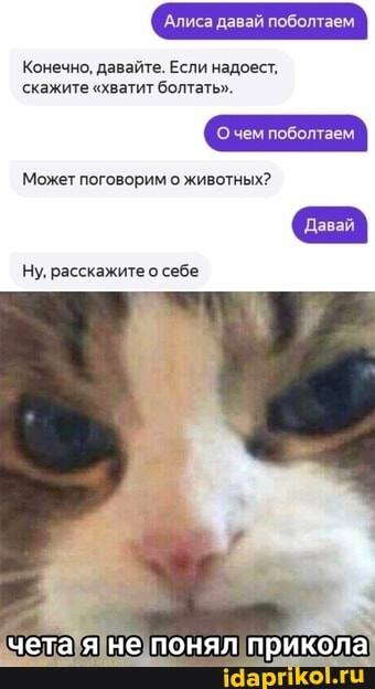 Конечно, давайте. Если надоест, скажите "хватит болтать".
Алиса давай поболтаем.
О чем поболтаем
Дав:
Может поговорим о животных?
Ну, расскажите о себе
чета не понял прикола