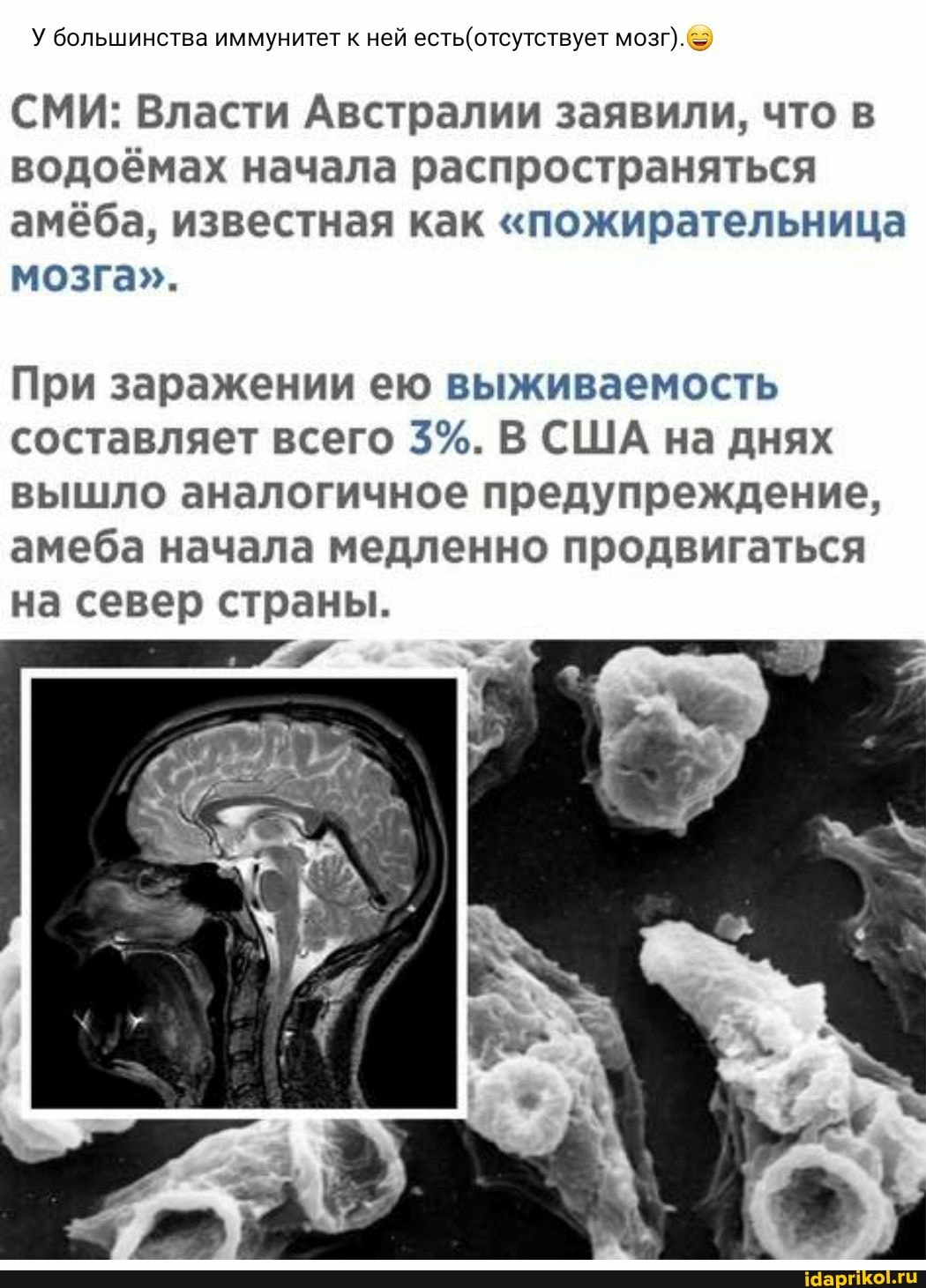 У большинства иммунитет к ней мозг).
СМИ: Власти Австралии заявили, что в водоёмах начала распространяться амёба, известная как "пожирательница мозга".
При заражении ею выживаемость составляет всего 3%. В США на днях вышло аналогичное предупреждение, амеба начала медленно продвигаться на север страны.