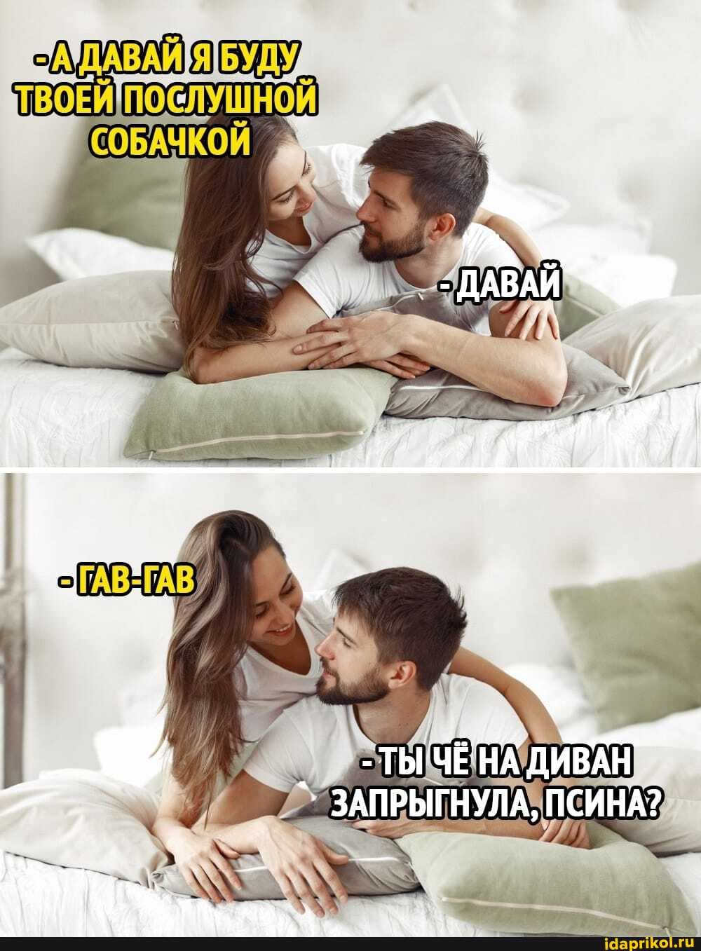 -ТЫ ЧЁНА ДИВАН
ЗАПРЫГНУЛА, ПСИНА?