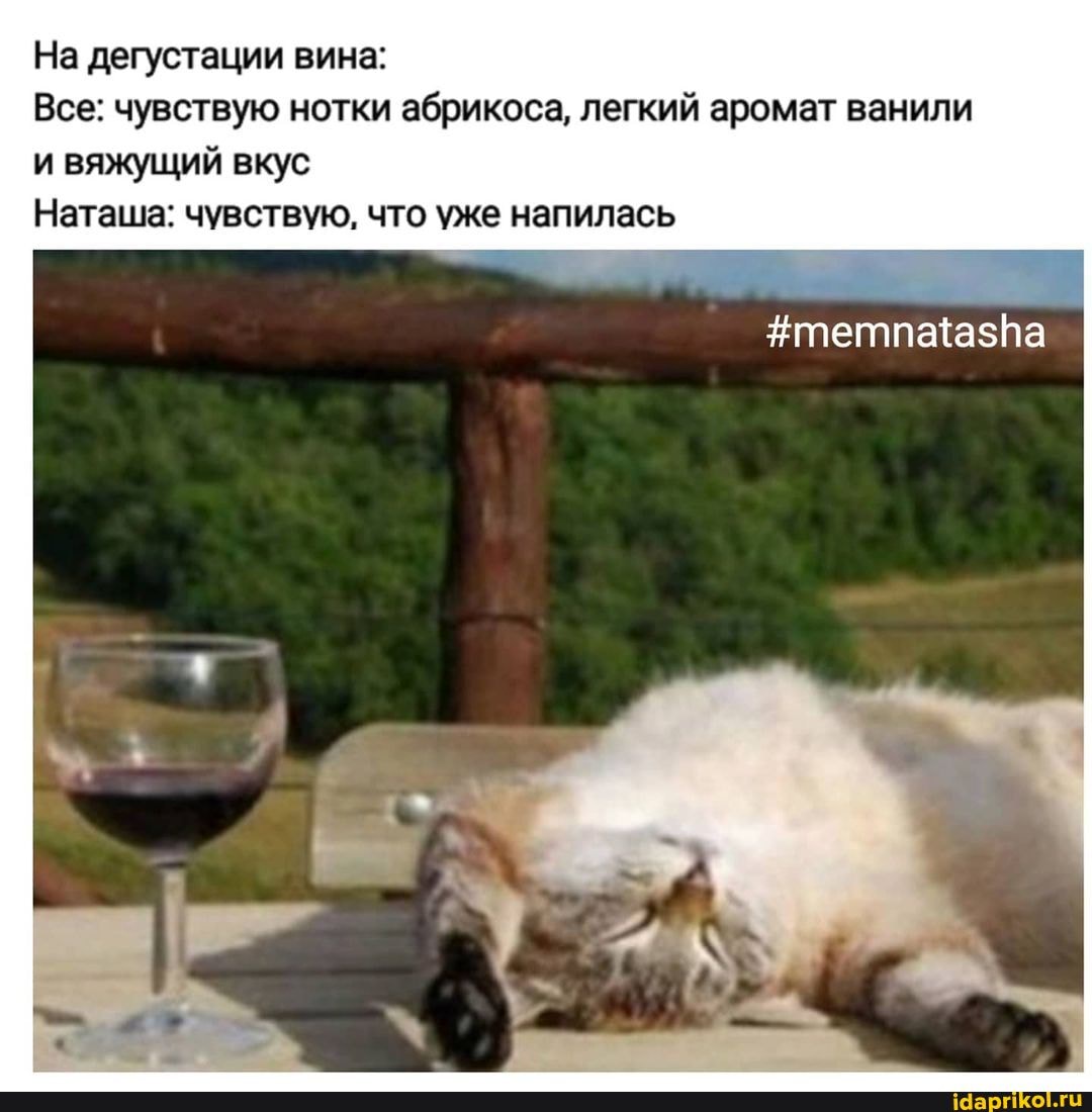На дегустации вина:
Все: чувствую нотки абрикоса, легкий аромат ванили и вяжущий вкус
Наташа: чувствую, что уже напилась
