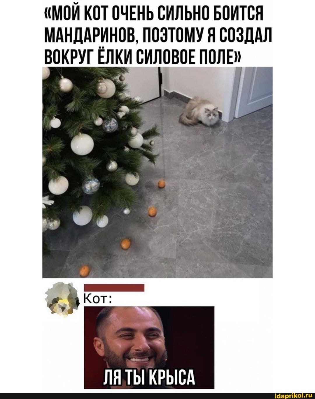 "МОЙ КОТ ОЧЕНЬ СИЛЬНО БОИТСЯ МАНДАРИНОВ, ПОЭТОМУ Я СОЗДАЛ ВОКРУГ ЕЛКИ СИЛОВОЕ ПОЛЕ
Кот:
ЛЯ ТЫ КРЫСА